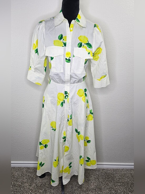 Essentiel Antwerp Dresses & Skirts - Essentiel Antwerp Darko lemon print shirt dress 34/2